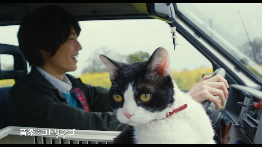The Travelling Cat Chronicles - Arikawa, Hiro 