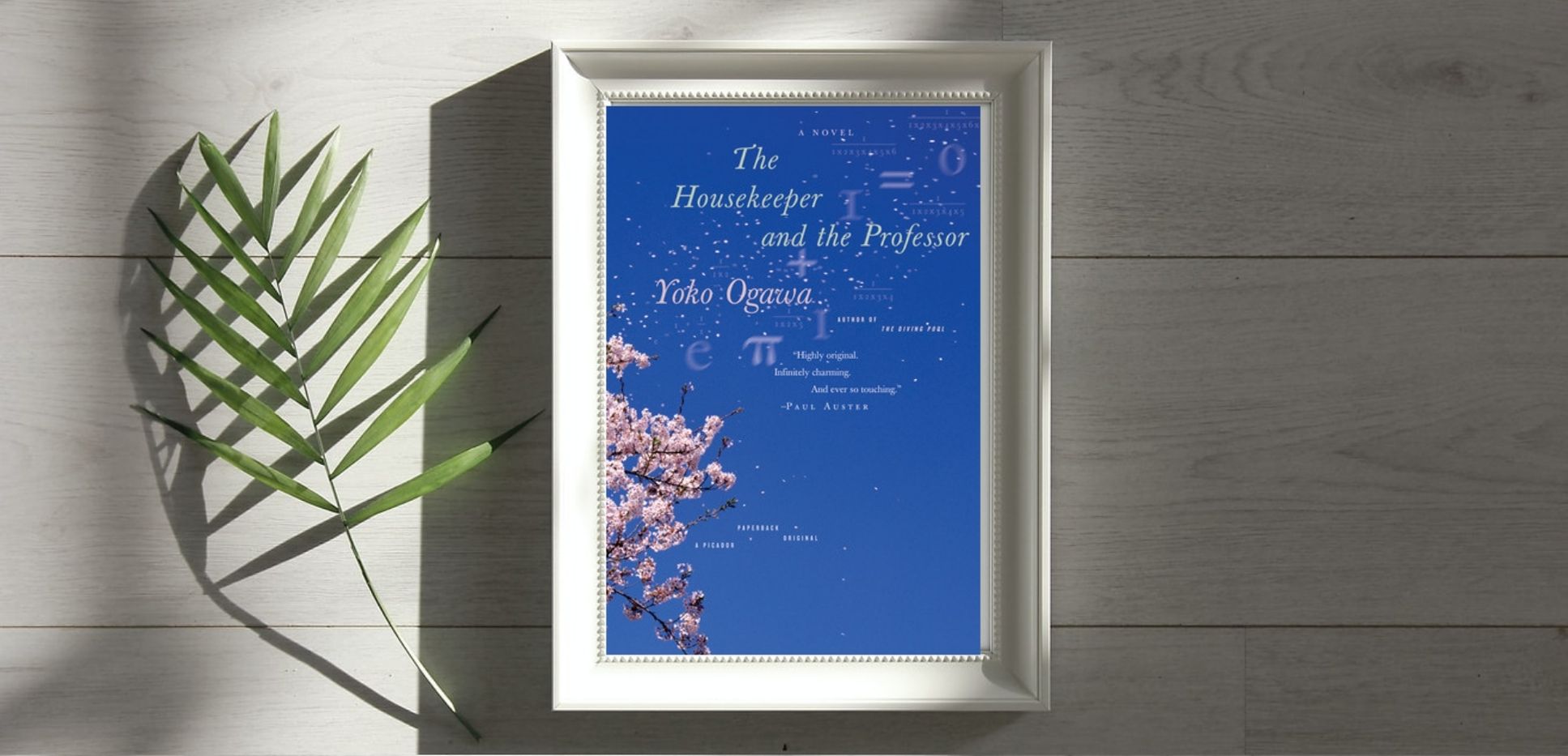 book review the housekeeper and the professor